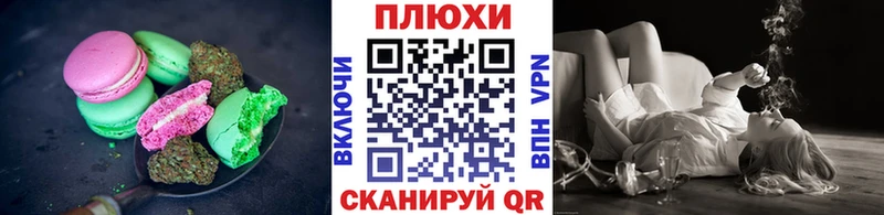 MEGA ТОР где найти Белая Холуница Canna-Cookies конопля