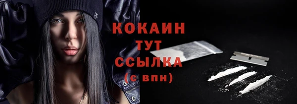 мяу мяу мука Баксан