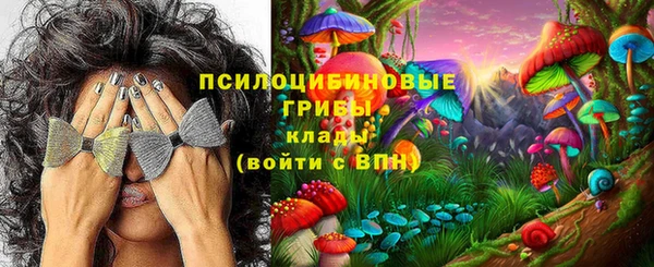 мяу мяу мука Баксан