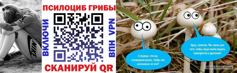 Псилоцибиновые грибы Psilocybe  Белая Холуница 